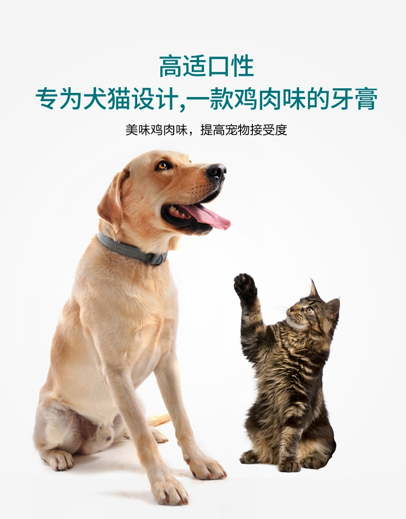 法国维克Virbac 猫狗复合酶牙膏套装牙刷牙膏 70g 去牙菌斑 清新口气 法国进口