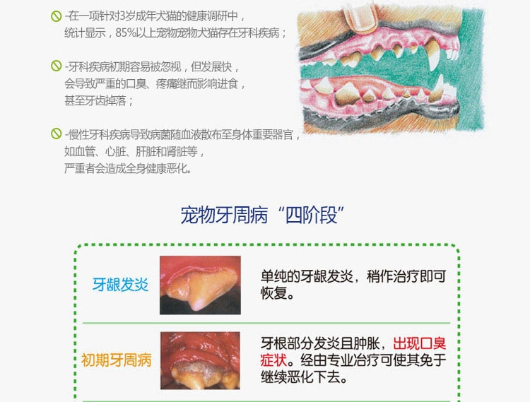 法国维克Virbac C.E.T.小型犬清洁齿片240g 抑菌去口臭