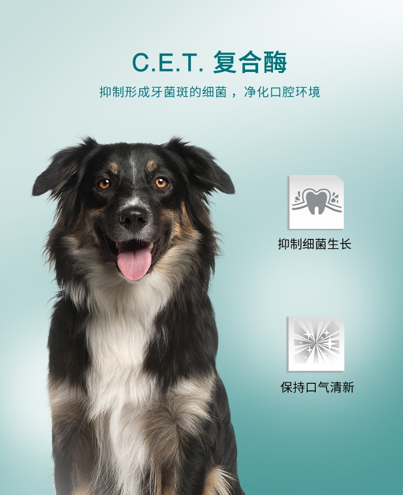 法国维克Virbac C.E.T.小型犬清洁齿片224g 抑菌去口臭