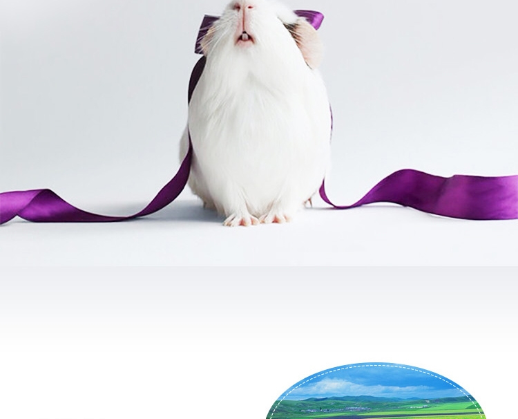 KY83凯莉拖鞋型草窝兔子龙猫荷兰猪温暖草窝魔王松鼠小窝仓鼠用品