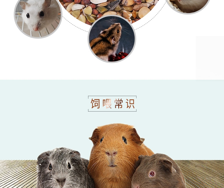 Marsa玛莎仓鼠粮食1kg MA157