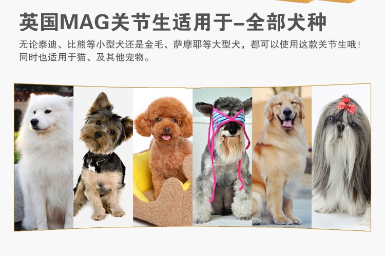 MAG 关节生黄金版狗狗骨骼宝关节舒宠物关节灵60片