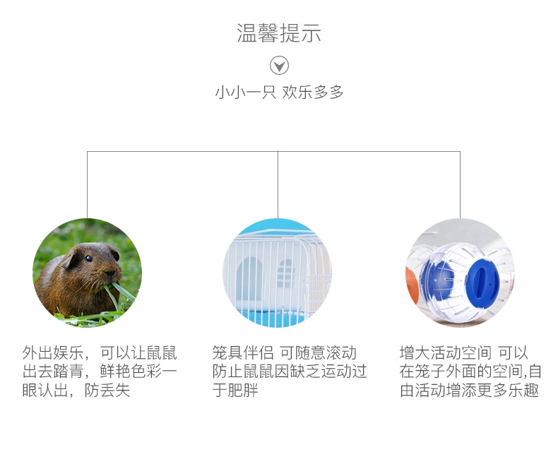 NEW AGE仓鼠支架跑轮静音水晶跑球跑轮转轮