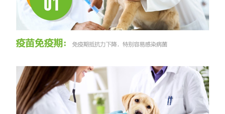 小宠EHD 环境消毒去异味养护液 500ml 浓缩无害型