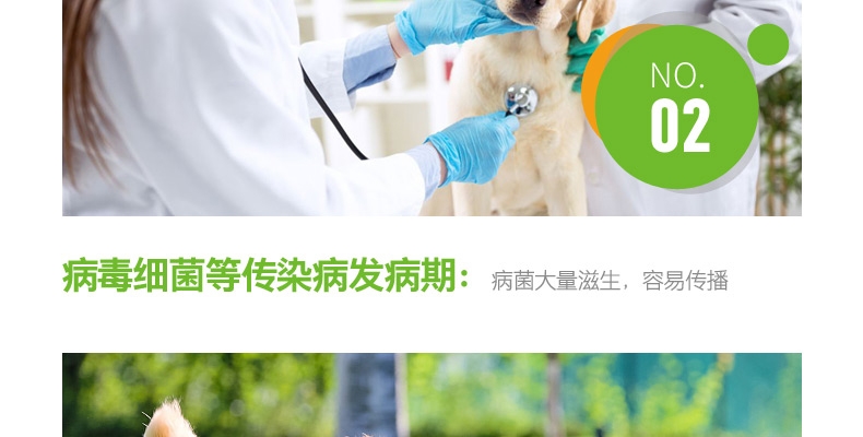 小宠EHD 环境消毒去异味养护液 500ml 浓缩无害型
