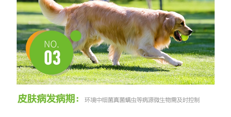 小宠EHD 环境消毒去异味养护液 500ml 浓缩无害型