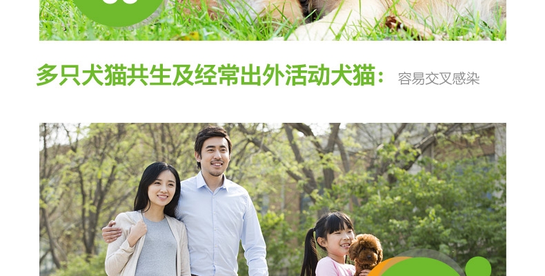 小宠EHD 环境消毒去异味养护液 500ml 浓缩无害型