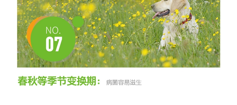 小宠EHD 环境消毒去异味养护液 500ml 浓缩无害型