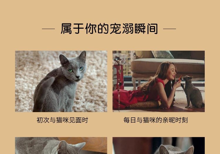 希宝Sheba 吞拿鱼及鲜香银鱼猫罐头 85g