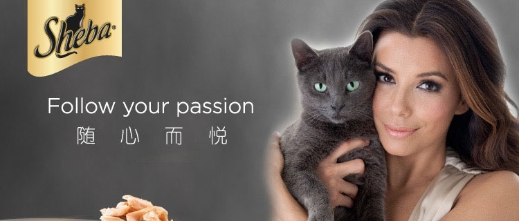 希宝 白身吞拿鱼猫罐头85g 猫湿粮
