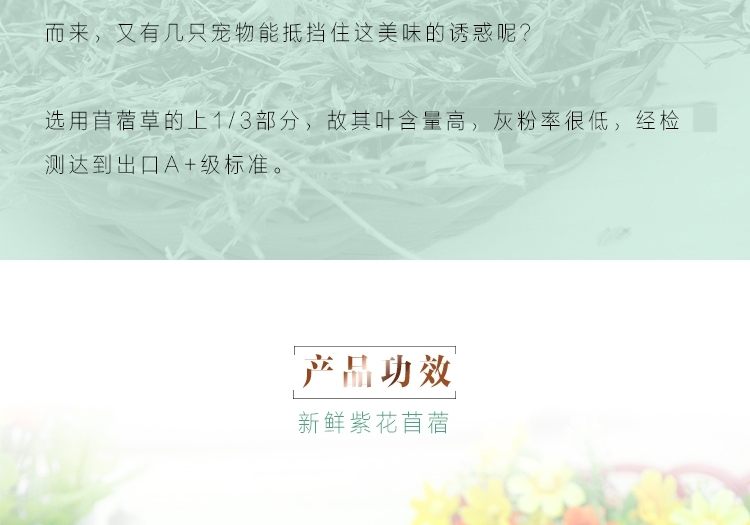 新鲜紫花苜蓿草 兔子牧草1kg