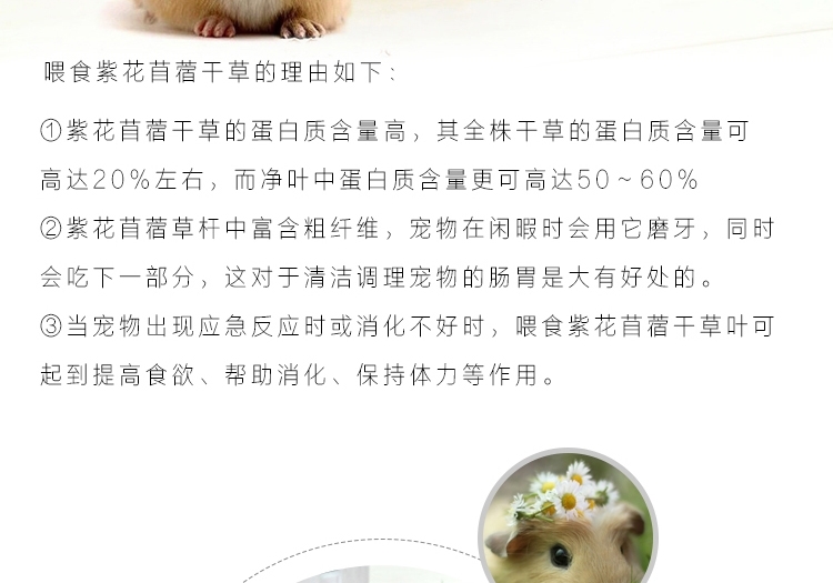 新鲜紫花苜蓿草 兔子牧草1kg