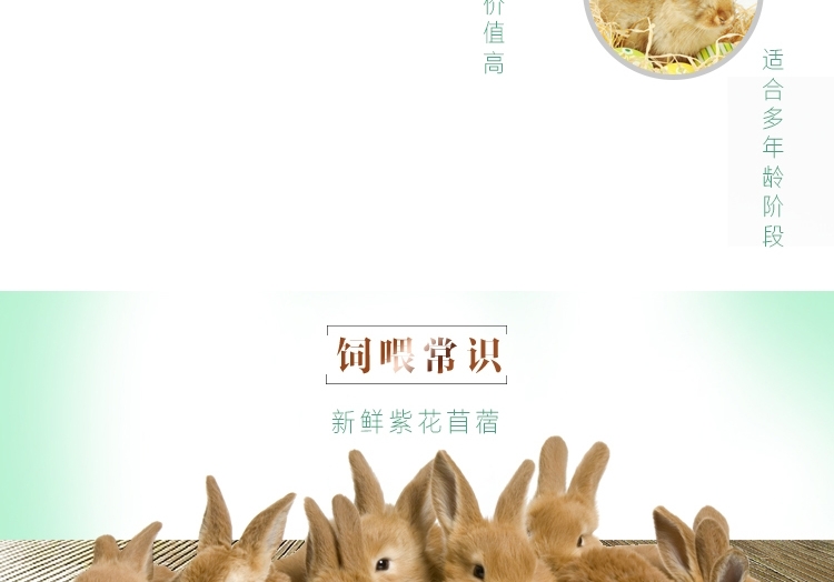新鲜紫花苜蓿草 兔子牧草1kg