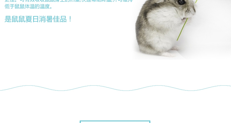 仓鼠冰垫玩具 宠波尔散热垫板 夏季降温板三号可选