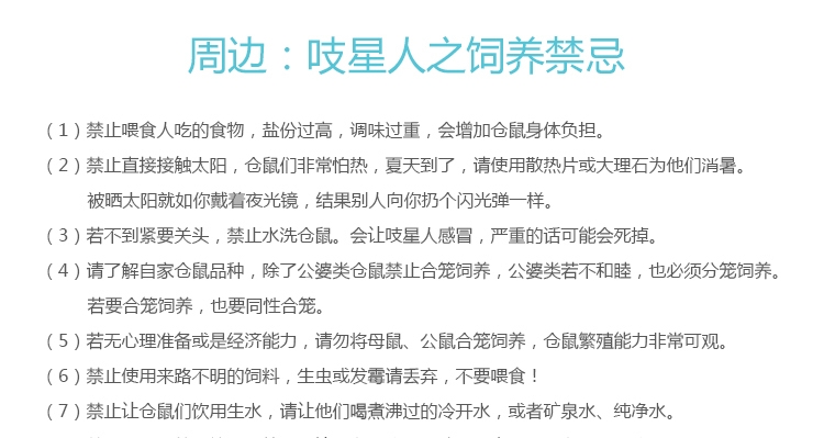 仓鼠冰垫玩具 宠波尔散热垫板 夏季降温板三号可选
