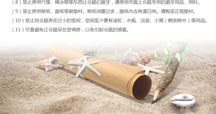 仓鼠冰垫玩具 宠波尔散热垫板 夏季降温板三号可选