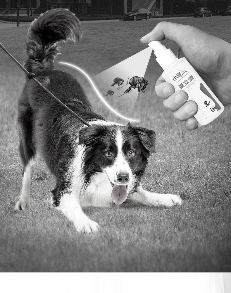 小宠EHD 犬猫体外驱虫 喷剂60ml