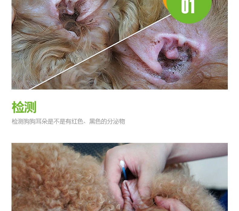 小宠EHD 洁耳舒50ml 滴耳液洗耳水预防耳螨耳炎