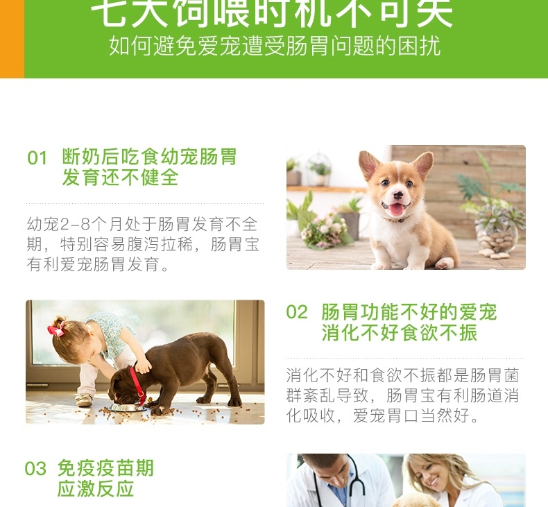 小宠EHD 犬猫肠胃宝益生菌10包 调理肠胃促消化