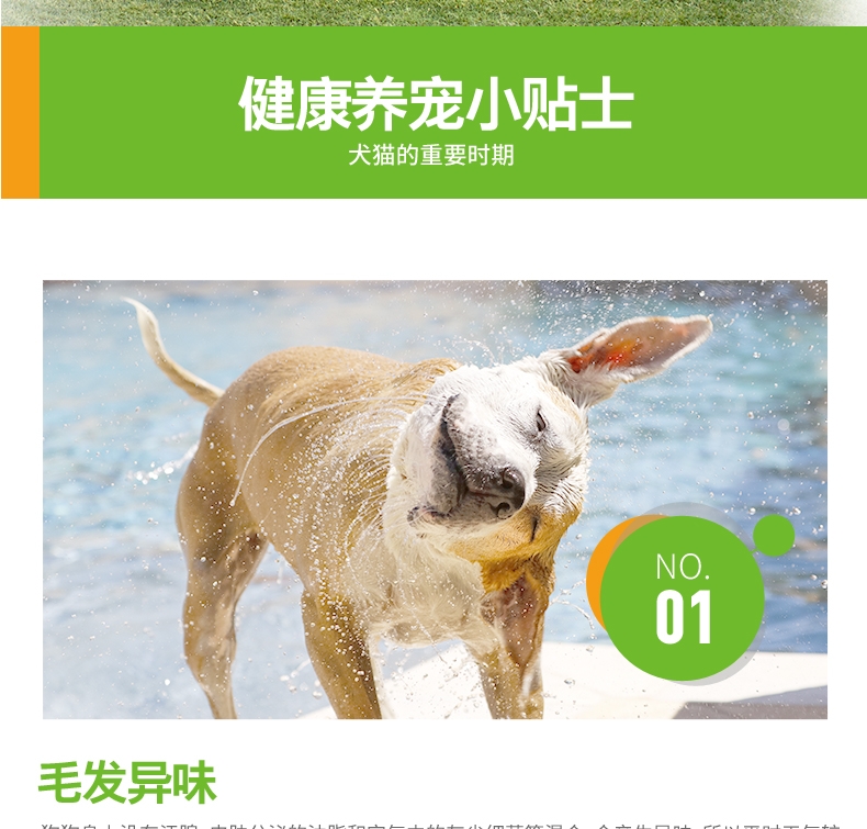 小宠EHD 宠物环境祛味消毒液 白兰香型 500ml