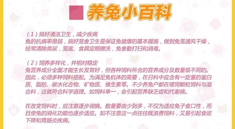 兔笼/豚鼠笼/荷兰猪笼 三号可选