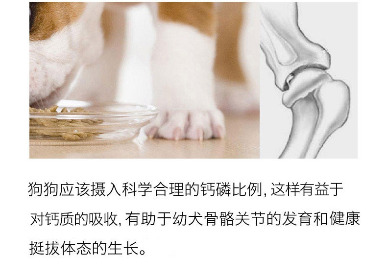醇粹 小型成犬粮均衡营养亮毛配方天然狗粮3kg