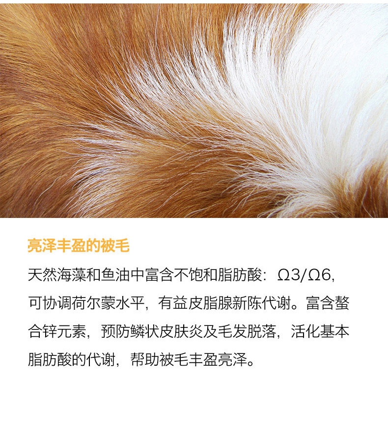 醇粹 小型成犬粮均衡营养亮毛配方天然狗粮3kg