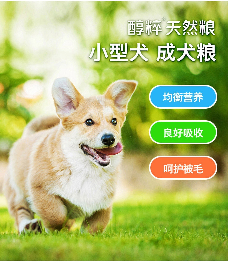 醇粹 小型成犬粮均衡营养亮毛配方天然狗粮3kg