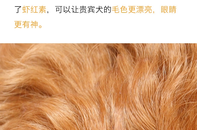 醇粹 泰迪贵宾成犬粮天然狗粮3kg 泰迪狗粮