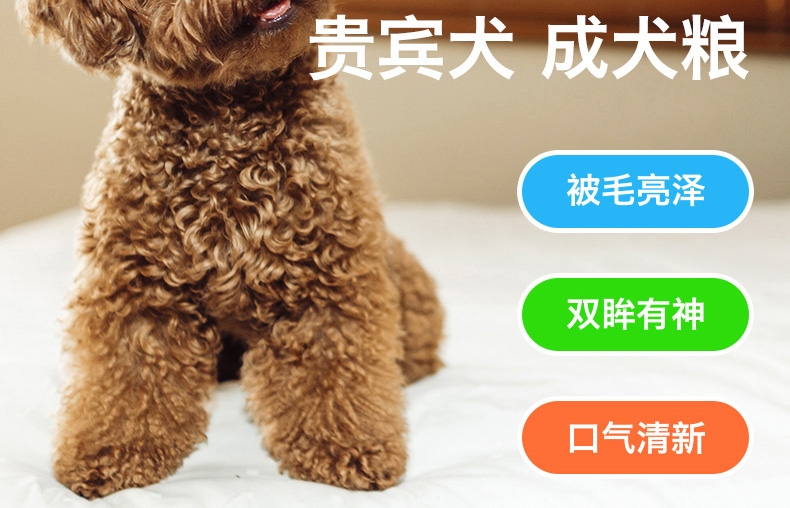 醇粹 泰迪贵宾成犬粮天然狗粮3kg 泰迪狗粮