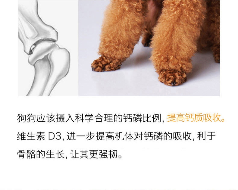 醇粹 泰迪贵宾成犬粮天然狗粮3kg 泰迪狗粮