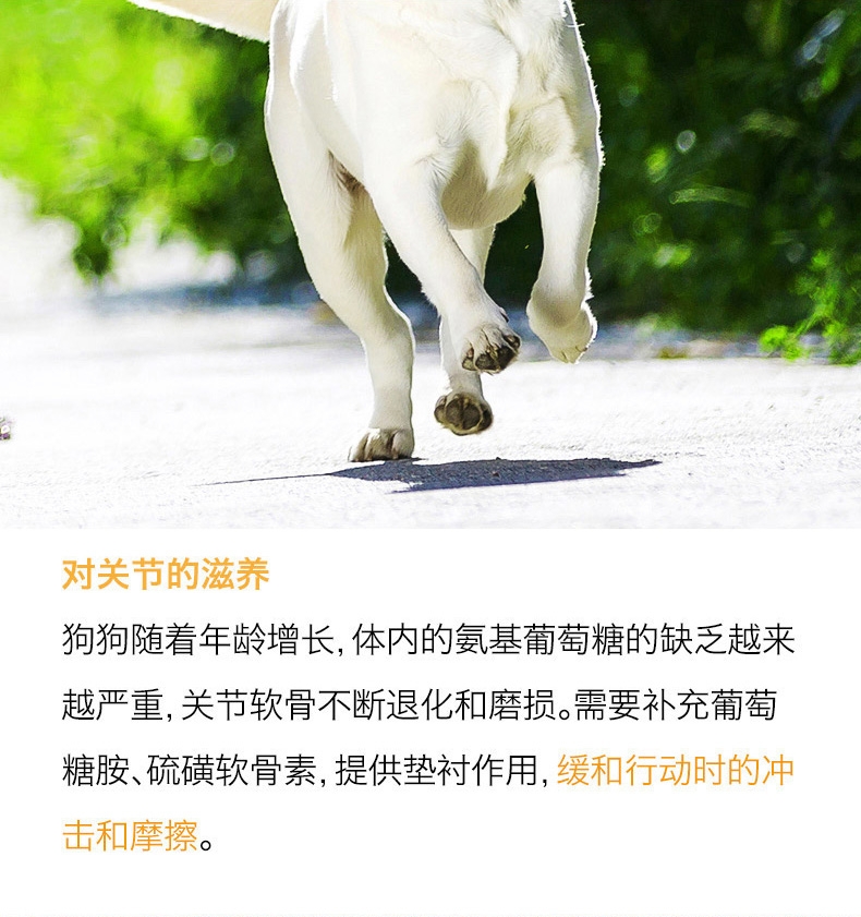 醇粹 高龄老年犬粮高吸收天然狗粮3kg