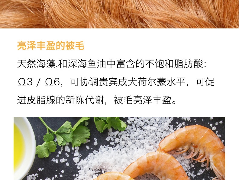 醇粹 泰迪贵宾成犬粮天然狗粮500g 泰迪狗粮