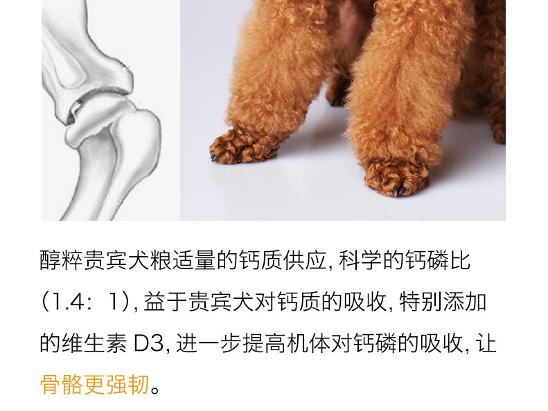 醇粹 泰迪贵宾成犬粮天然狗粮500g 泰迪狗粮