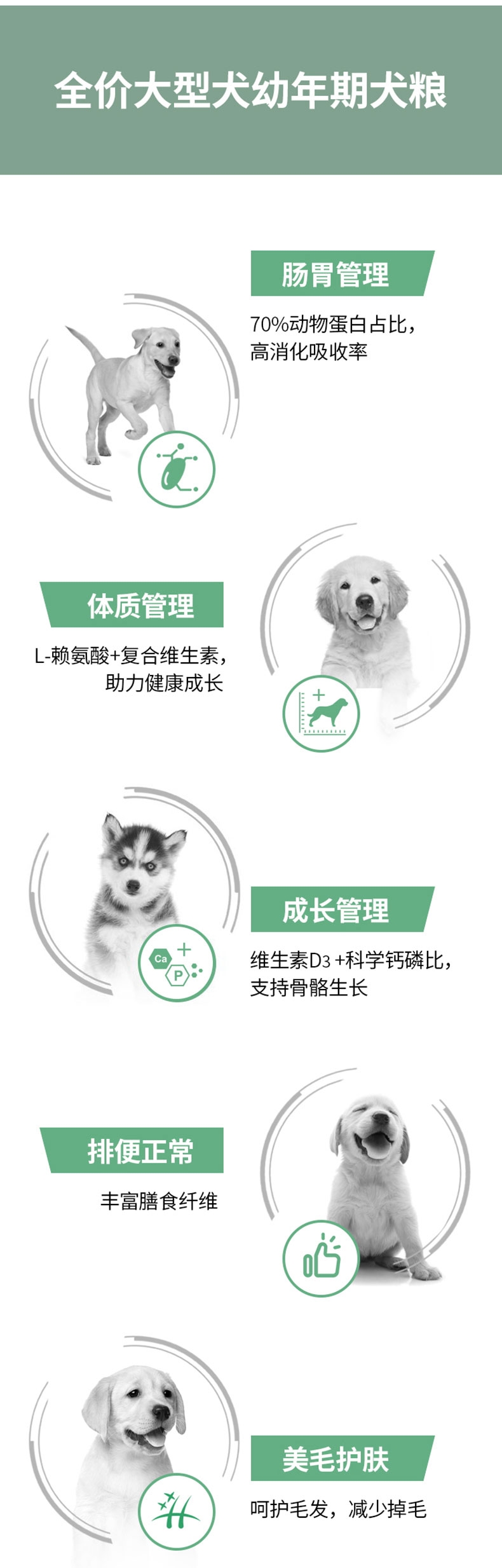 醇粹 大型犬奶糕及幼犬粮 500g 55%含肉量