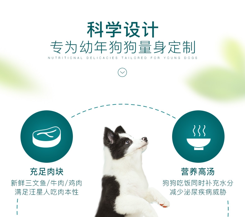 怡亲Yoken 幼犬牛肉蔬菜湿粮110g 狗湿粮