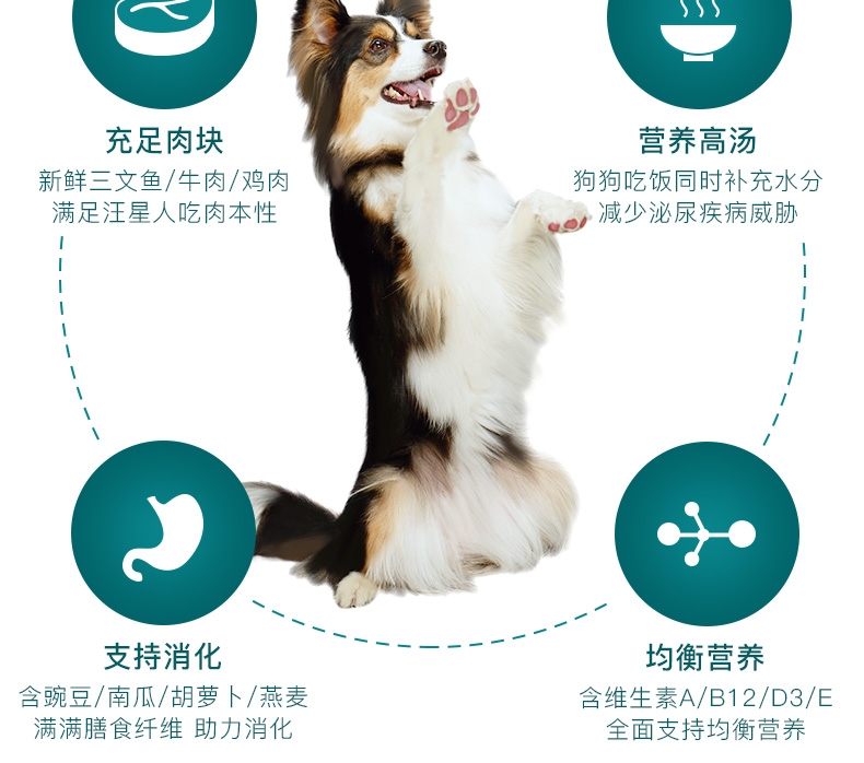 怡亲Yoken 幼犬牛肉蔬菜湿粮110g 狗湿粮