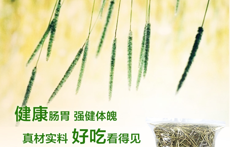 提摩西草500g 兔粮 草场直供