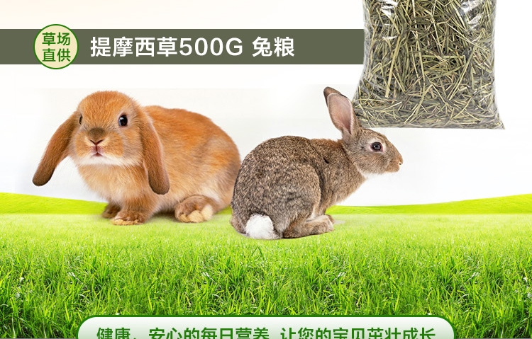 提摩西草500g 兔粮 草场直供