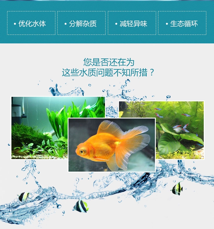新加坡傲深 硝化菌 硝化细菌240ML