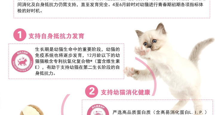 法国皇家ROYAL CANIN 12月以下及怀孕期母猫幼猫粮2kg K36