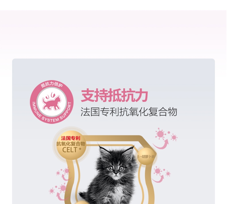 皇家ROYAL CANIN 12月以下及怀孕期母猫幼猫粮2kg K36