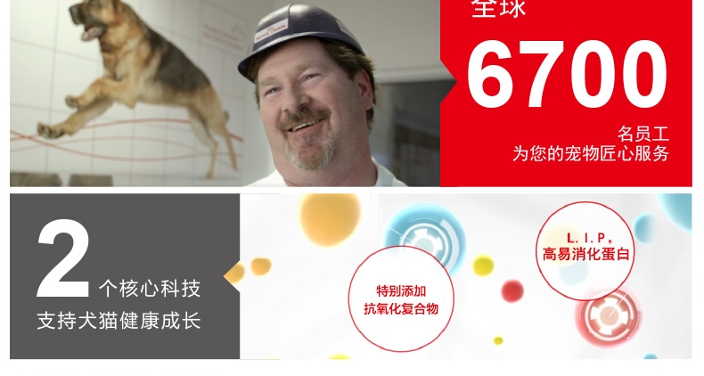 法国皇家ROYAL CANIN 12月以下及怀孕期母猫幼猫粮2kg K36