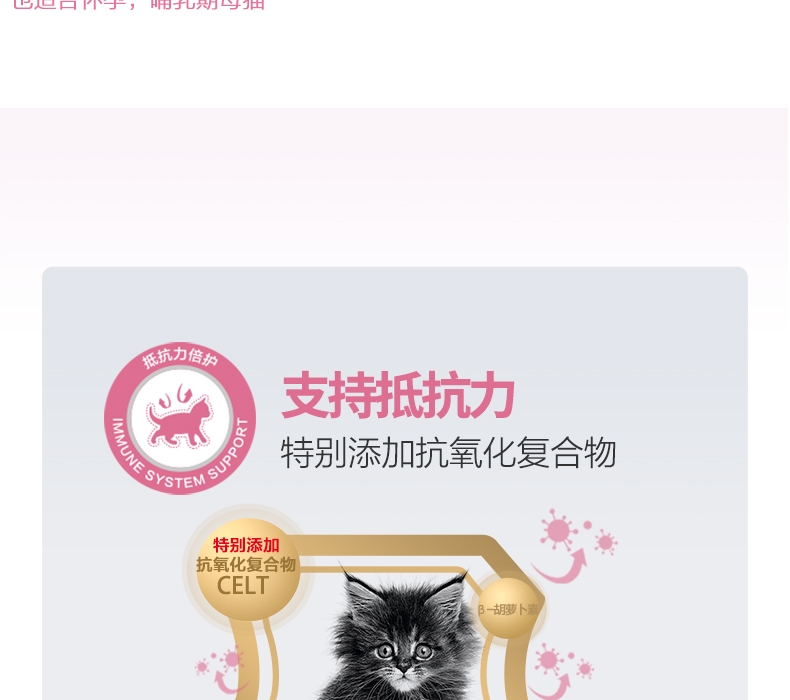 法国皇家Royal Canin 孕猫及12个月以下幼猫粮 2kg K36