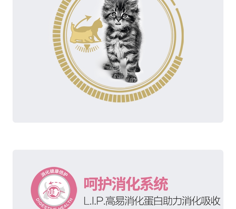 法国皇家Royal Canin 孕猫及12个月以下幼猫粮 2kg K36