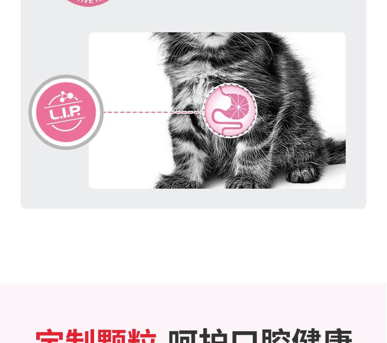 法国皇家Royal Canin 孕猫及12个月以下幼猫粮 2kg K36