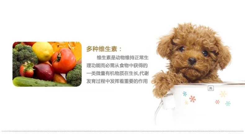 它它 杂锦罐装狗狗防口臭饼干1kg 磨牙 狗零食