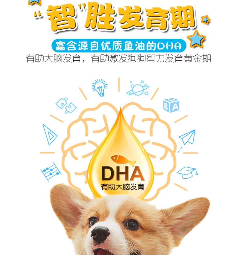 宝路Pedigree 牛肉蔬菜口味幼犬粮 4kg