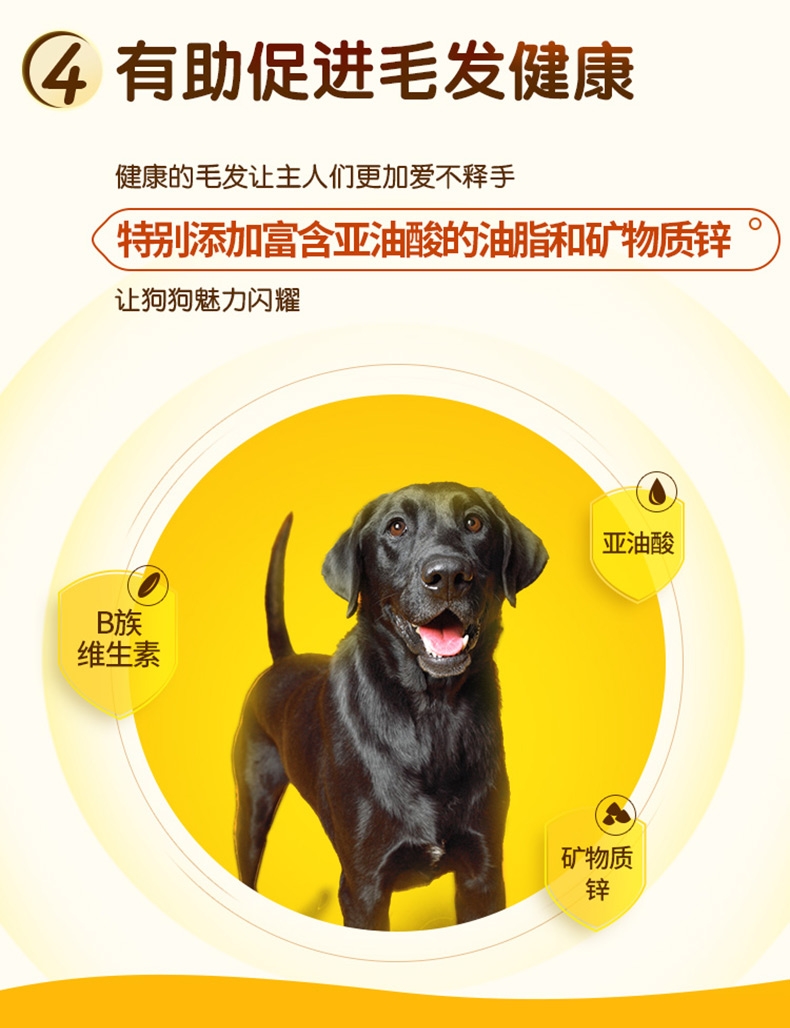 宝路Pedigree 牛肉蔬菜口味大型犬成犬粮 7.5kg