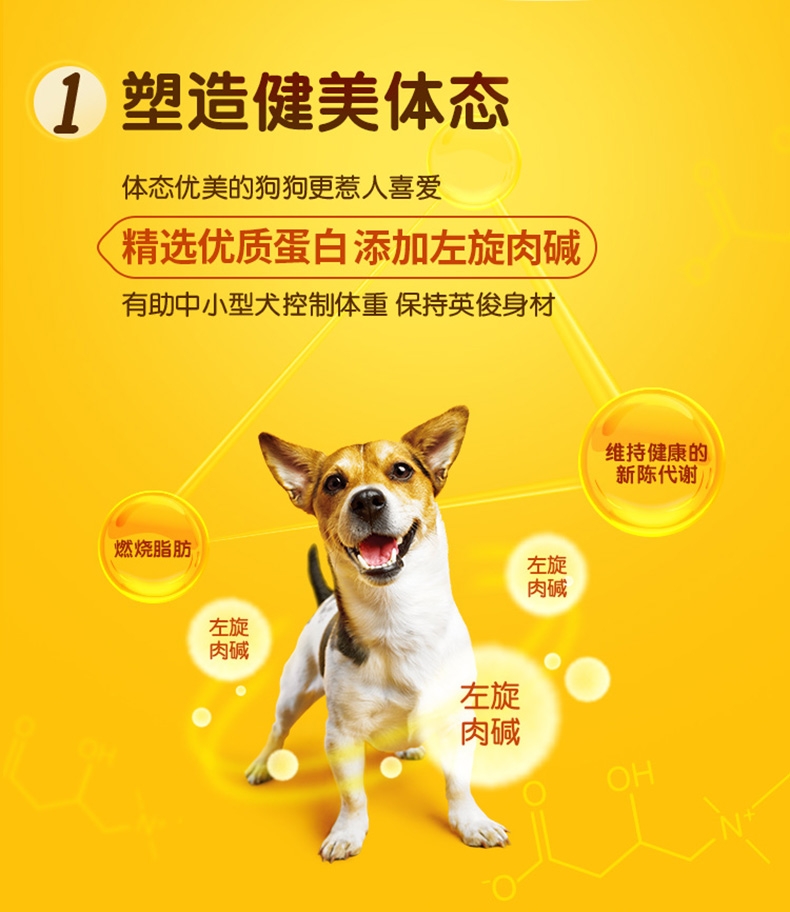宝路Pedigree 牛肉蔬菜口味中小型犬成犬粮 4kg